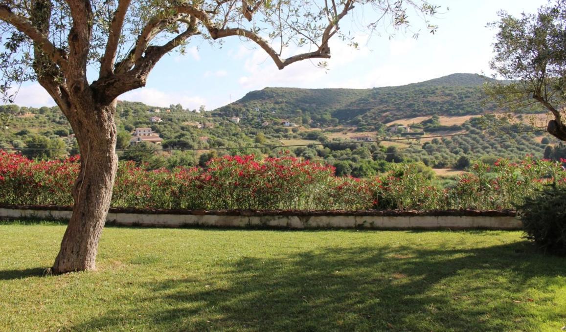 B&B Kapi Country Αλγκέρο Εξωτερικό φωτογραφία