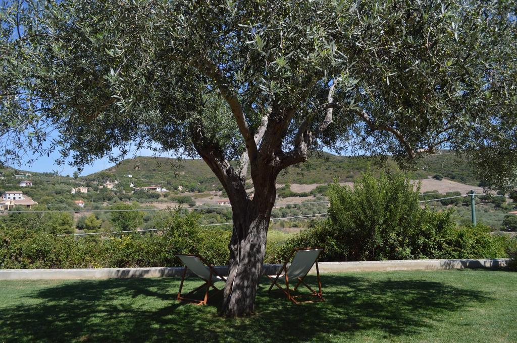 B&B Kapi Country Αλγκέρο Δωμάτιο φωτογραφία